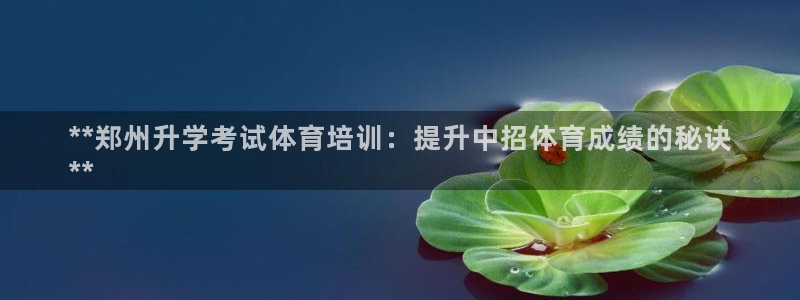耀世啥意思：**郑州升学考试体育培训：提升中招体育成