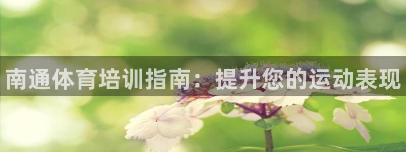 耀世平台代理怎么样