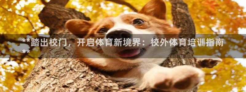 耀世娱乐平台主管：**踏出校门，开启体育新境界：校外