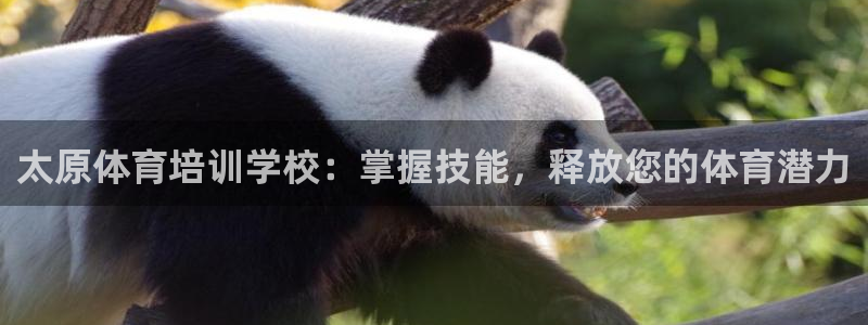 耀世三国官网：太原体育培训学校：掌握技能，释放您的体
