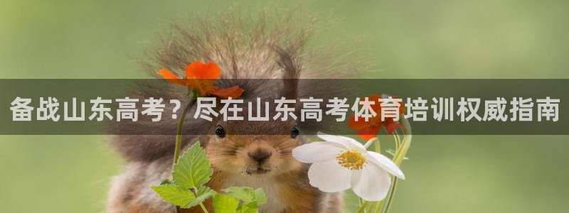 耀世娱乐赢咖APP：备战山东高考？尽在山东高考体育培