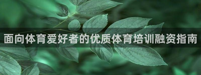 耀世娱乐百科百度：面向体育爱好者的优质体育培训融资指南