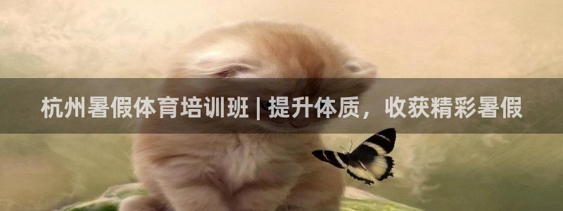 耀世燃气灶是哪个牌子
