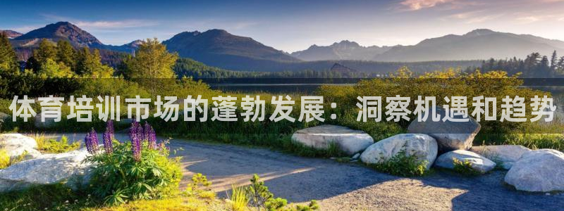 耀世娱乐官网注册：体育培训市场的蓬勃发展：洞察机遇和