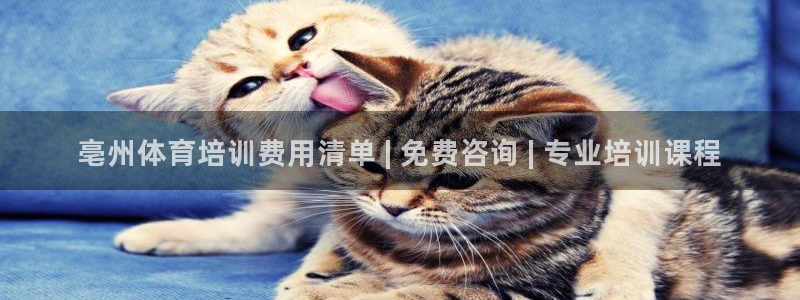 耀世开盘是什么意思：亳州体育培训费用清单 | 免费咨