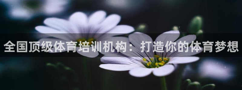 耀世集团王大聪简介：全国顶级体育培训机构：打造你的体