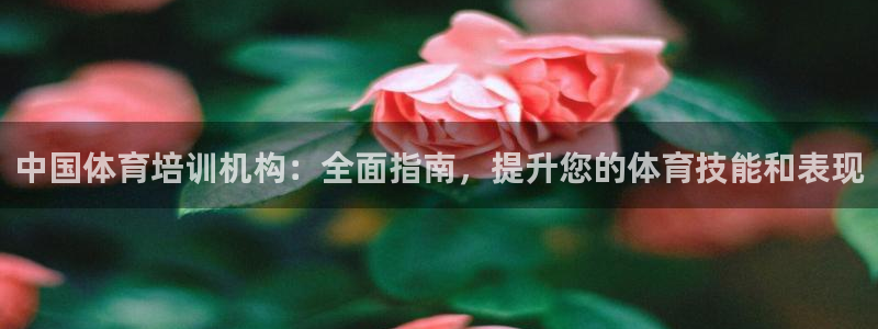 耀世天下和如日中天哪个好：中国体育培训机构：全面指南