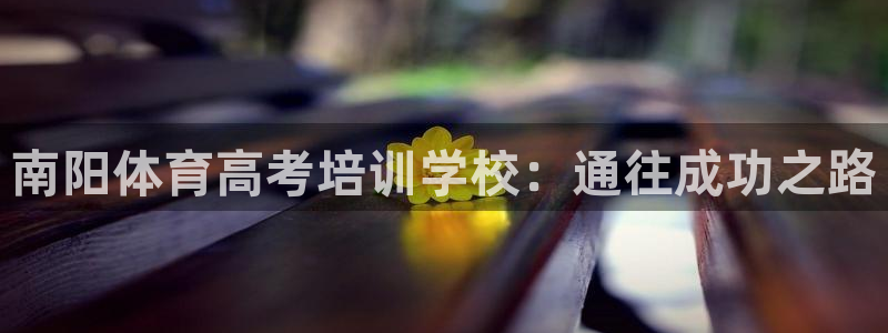 耀世娱乐登陆地址查询：南阳体育高考培训学校：通往成功