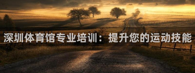耀世平台总代理：深圳体育馆专业培训：提升您的运动技能