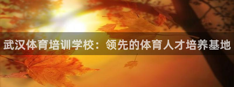 耀世平台有很多登录地址：武汉体育培训学校：领先的体育