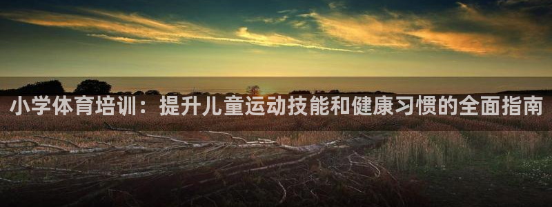 耀世集团董事长是谁：小学体育培训：提升儿童运动技能和
