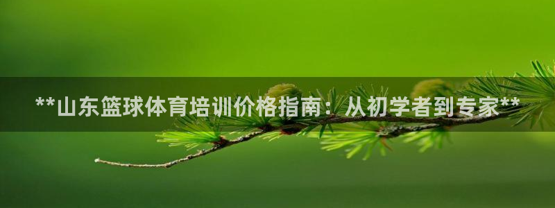 耀世娱乐是玛雅旗下的吗是真的吗：**山东篮球体育培训