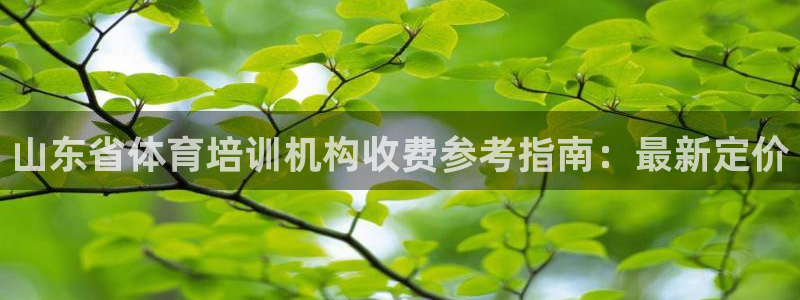 耀世首开什么意思：山东省体育培训机构收费参考指南：最