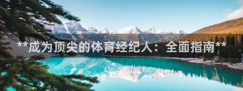 耀世登场什么意思：**成为顶尖的体育经纪人：全面指南