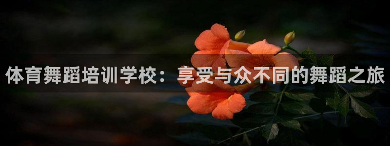 耀世平台实7O777：体育舞蹈培训学校：享受与众不同