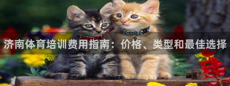 耀世集团做什么的：济南体育培训费用指南：价格、类型和