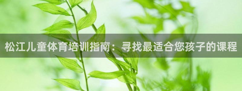 哪吒s耀世版价格：松江儿童体育培训指南：寻找最适合您