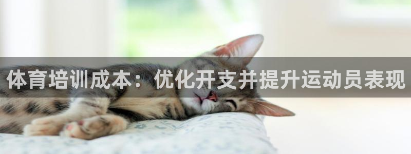 耀世娱乐网址是什么啊：体育培训成本：优化开支并提升运
