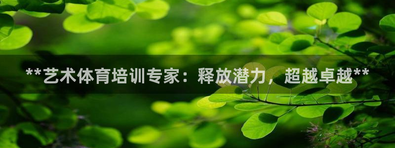 耀世娱乐平台官网登录不了了：**艺术体育培训专家：释