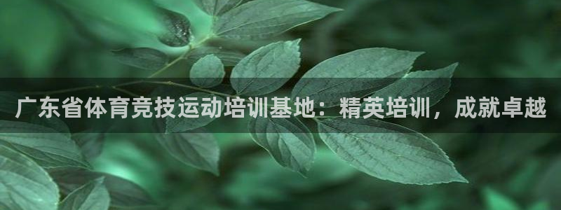 耀世盛启什么意思：广东省体育竞技运动培训基地：精英培