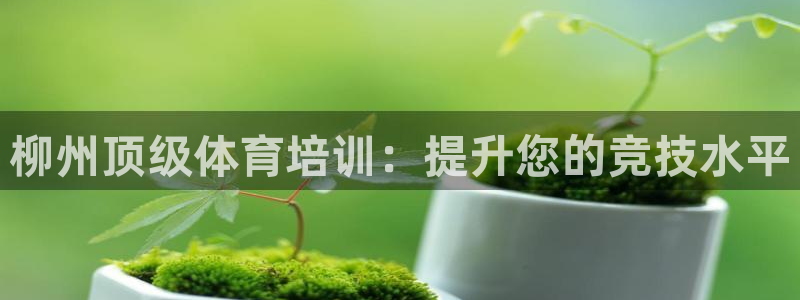 耀世娱乐含山县：柳州顶级体育培训：提升您的竞技水平