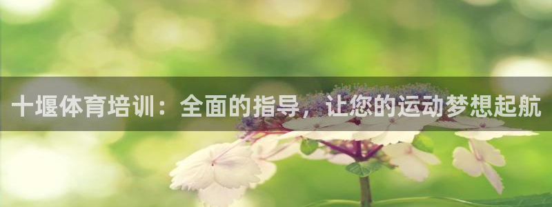 耀世出行：十堰体育培训：全面的指导，让您的运动梦想起