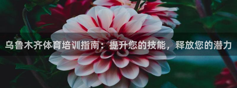 耀世平台有很多登录地址怎么办：乌鲁木齐体育培训指南：