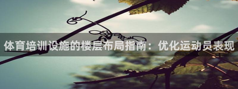 耀世平台话7O777：体育培训设施的楼层布局指南：优