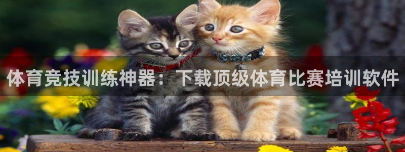 耀世娱乐在线登录官网入口手机版：体育竞技训练神器：下