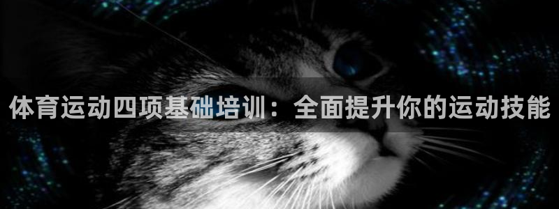 耀世娱乐出款快吗知乎：体育运动四项基础培训：全面提升