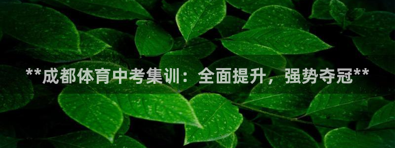 耀世平台升 5O6917 平台：**成都体育中考集训
