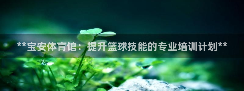 耀世娱乐合法吗：**宝安体育馆：提升篮球技能的专业培