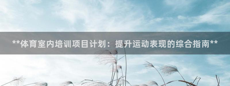 耀世集团商业联盟招聘：**体育室内培训项目计划：提升