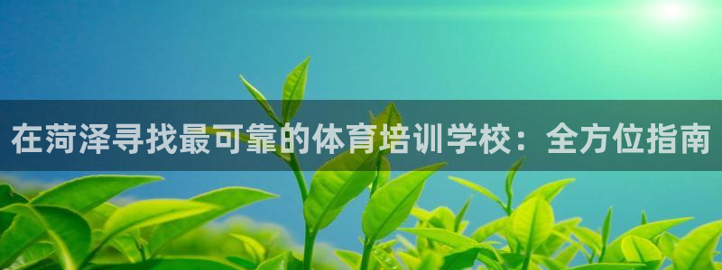 耀世娱乐挂机：在菏泽寻找最可靠的体育培训学校：全方位