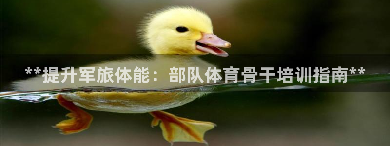 耀世是什么游戏里的人物：**提升军旅体能：部队体育骨