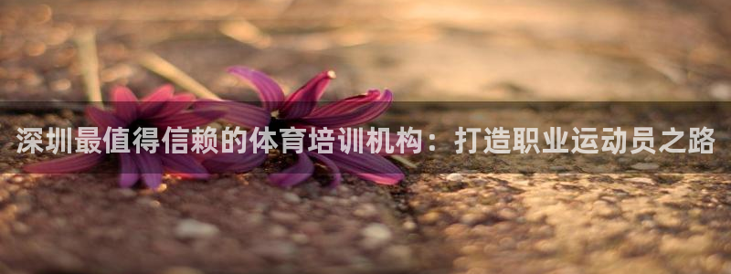 耀世平台关7O777：深圳最值得信赖的体育培训机构：