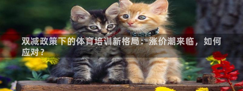 耀世娱乐官方网站登录：双减政策下的体育培训新格局：涨价潮来临