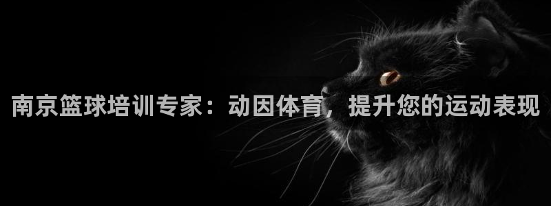 耀世娱乐官网网站登录：南京篮球培训专家：动因体育，提