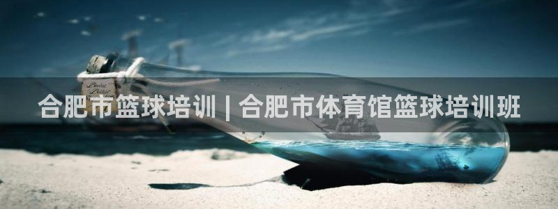 耀世娱乐代理什么待遇可以做：合肥市篮球培训 | 合肥