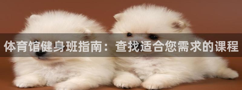 耀世娱乐挂机教程视频：体育馆健身班指南：查找适合您需