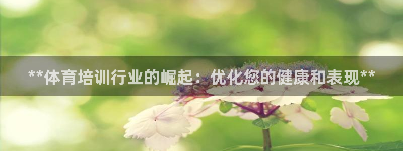 耀世平台注册开户流程：**体育培训行业的崛起：优化您