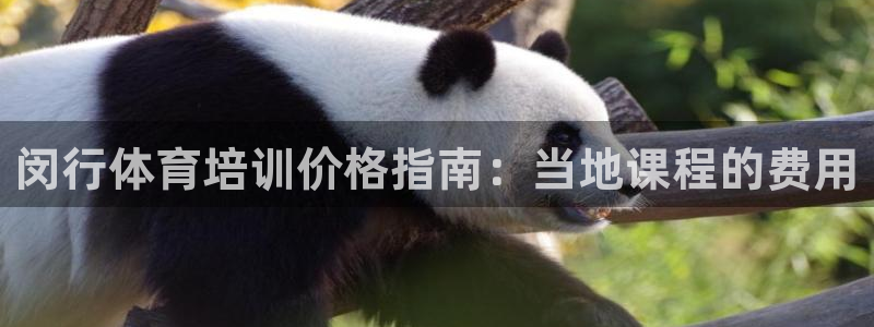 耀世娱乐违法吗：闵行体育培训价格指南：当地课程的费用