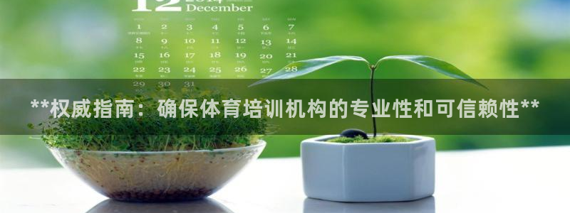 耀世集团：**权威指南：确保体育培训机构的专业性和可