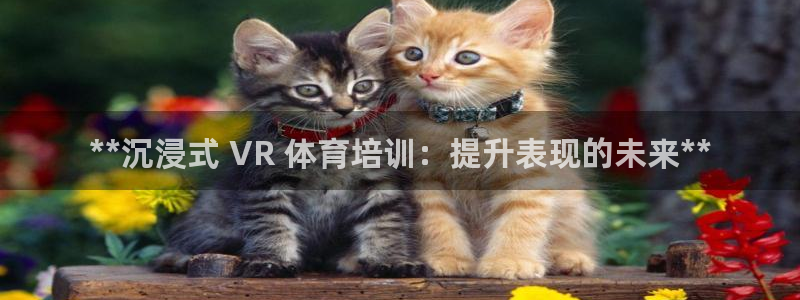 耀世集团公益：**沉浸式 VR 体育培训：提升表现的