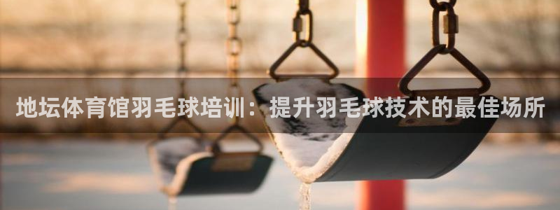 耀世意思是什么：地坛体育馆羽毛球培训：提升羽毛球技术
