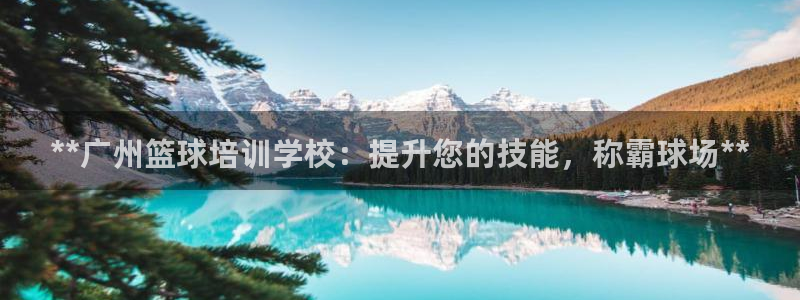 耀世娱乐几年了?：**广州篮球培训学校：提升您的技能
