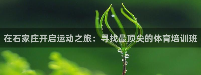 耀世平台负责人怎么样：在石家庄开启运动之旅：寻找最顶尖的体育