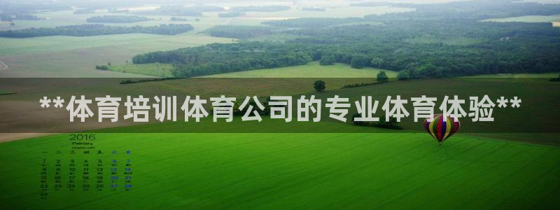 耀世娱乐辅助软件下载安卓：**体育培训体育公司的专业体育体验