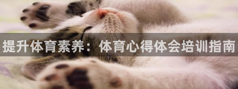 耀世娱乐联 585341：提升体育素养：体育心得体会培训指南