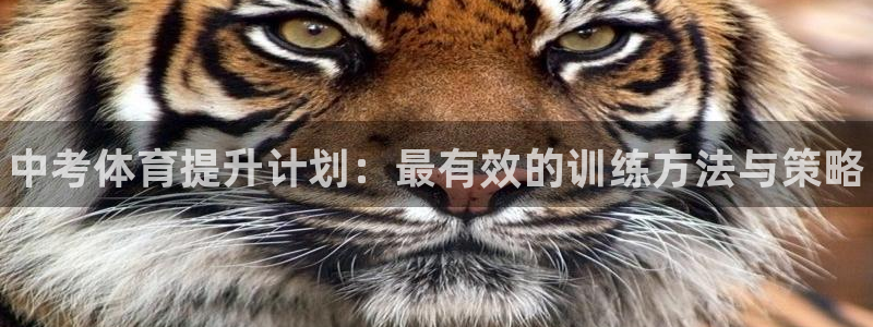 耀世集团是干嘛的企业啊